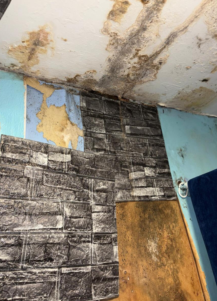 Housing Disrepair